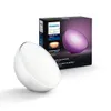 Philips Hue Go White and...