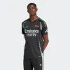 Adult Arsenal Away Shirt 24/25