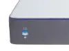 Nectar Hybrid Lite Small...